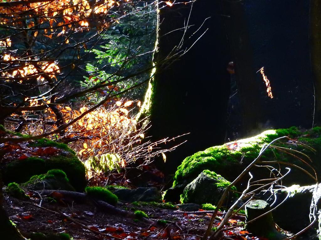 Gasthof Meindl Arrach Bagian luar foto